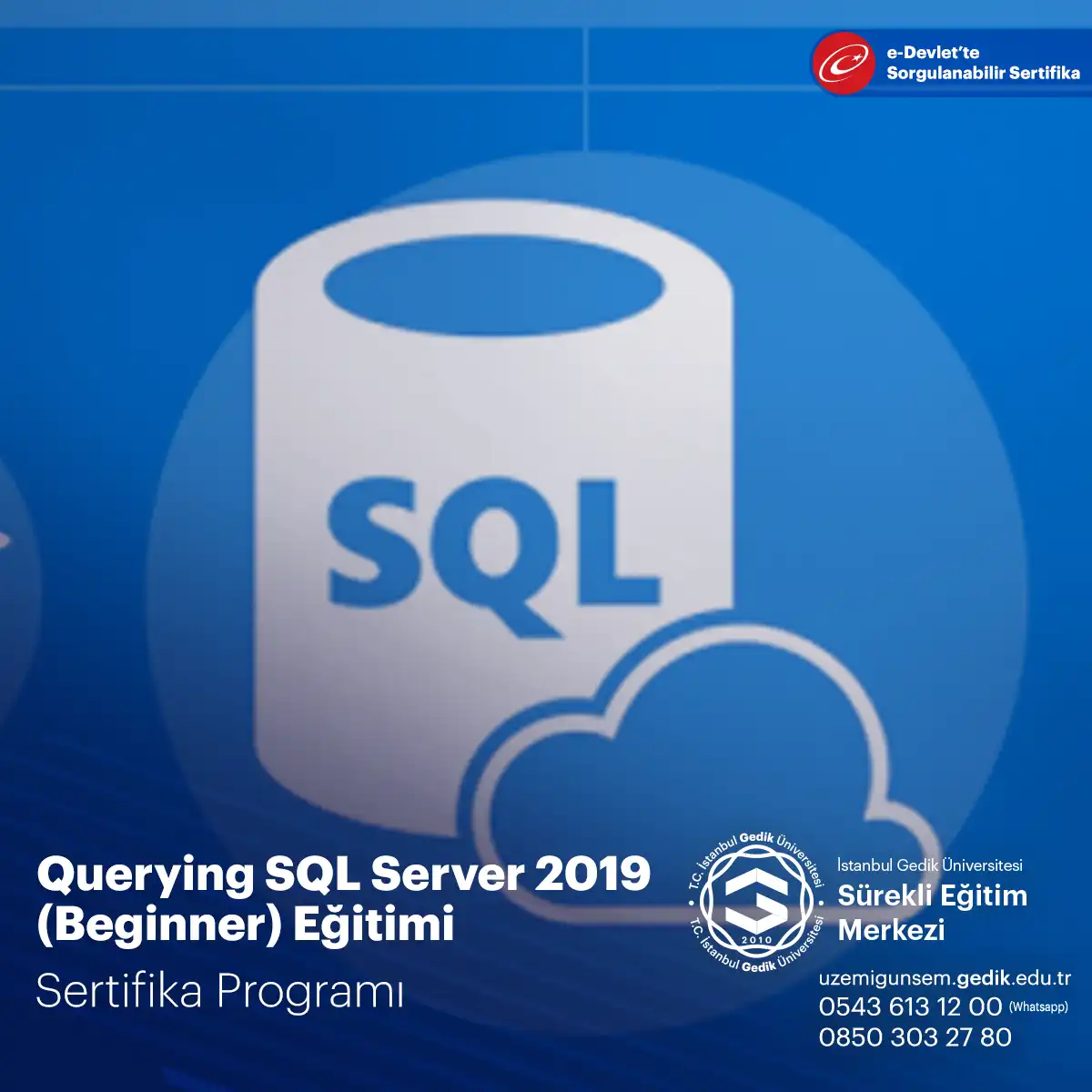 Querying SQL Server 2019 (Beginner) Eğitimi 